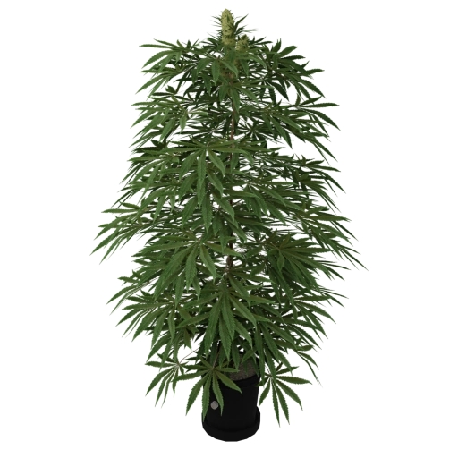 Map with numbers displayed